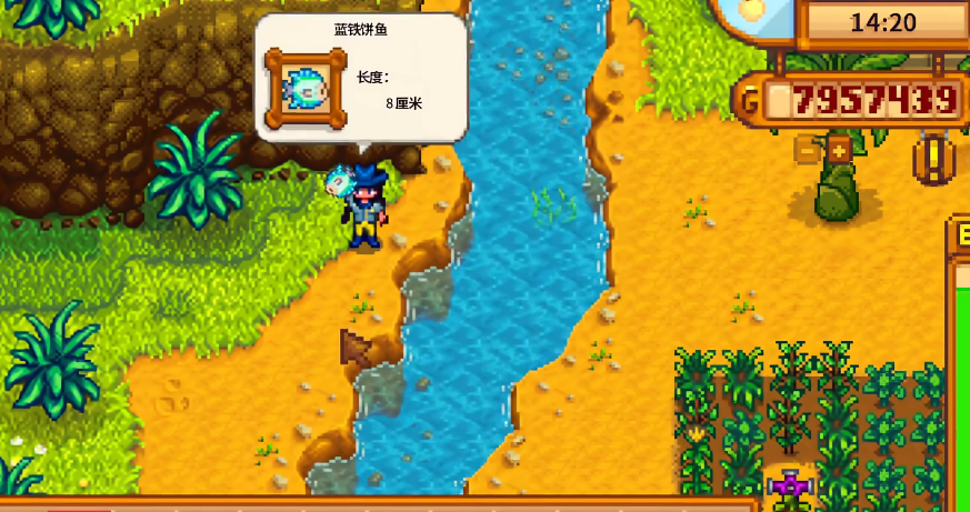 星露谷物语姜岛三种鱼在哪钓