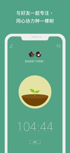 forest专注森林