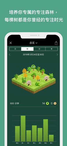 forest专注森林