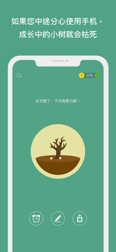 forest专注森林